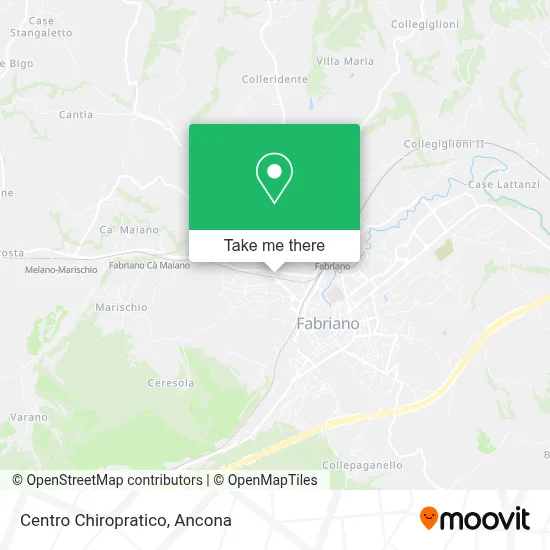 Centro Chiropratico map