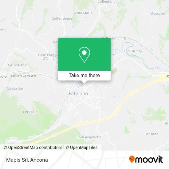 Mapis Srl map