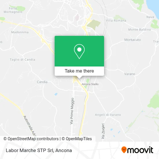 Labor Marche STP Srl map