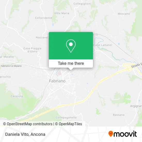 Daniela Vito map