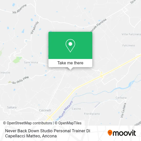 Never Back Down Studio Personal Trainer Di Capellacci Matteo map