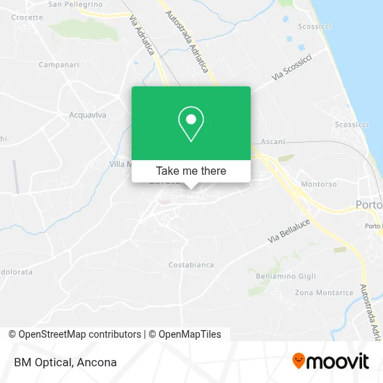 BM Optical map