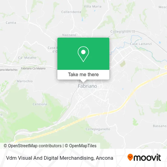 Vdm Visual And Digital Merchandising map