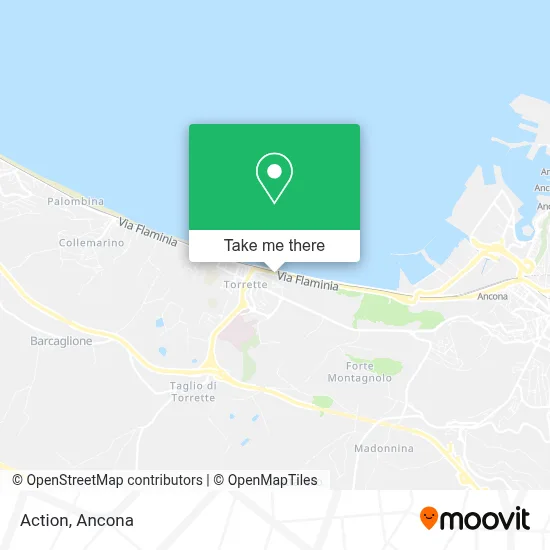 Action map