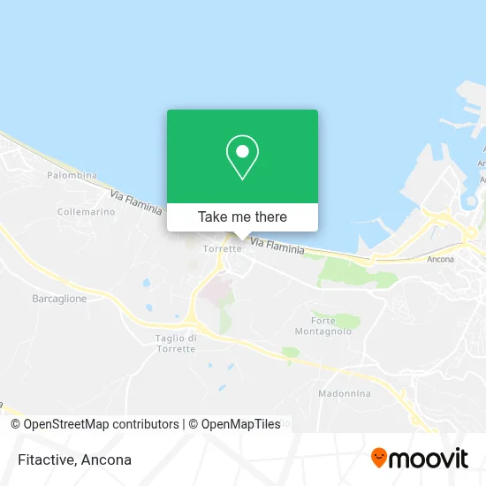 Fitactive map