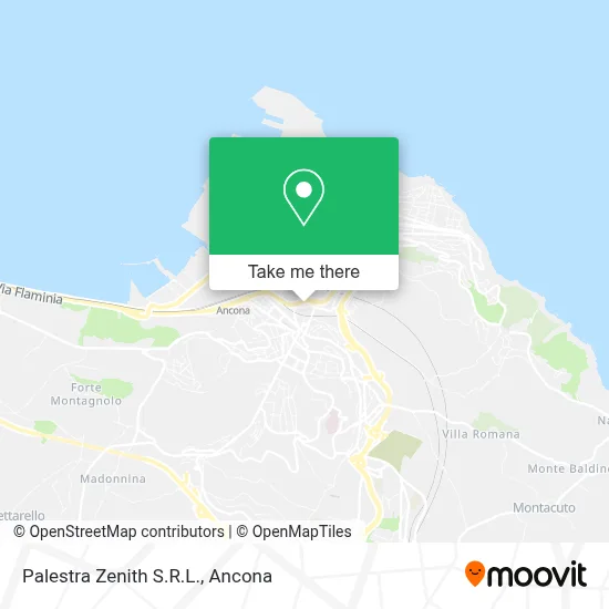 Palestra Zenith S.R.L. map