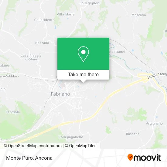 Monte Puro map
