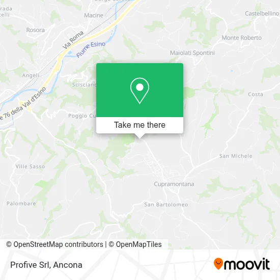 Profive Srl map