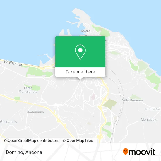 Domino map