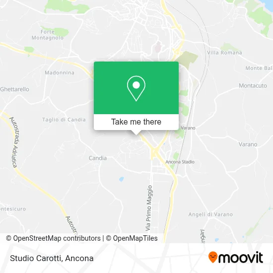 Studio Carotti map