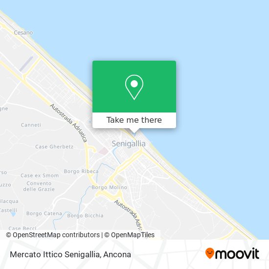 Mercato Ittico Senigallia map