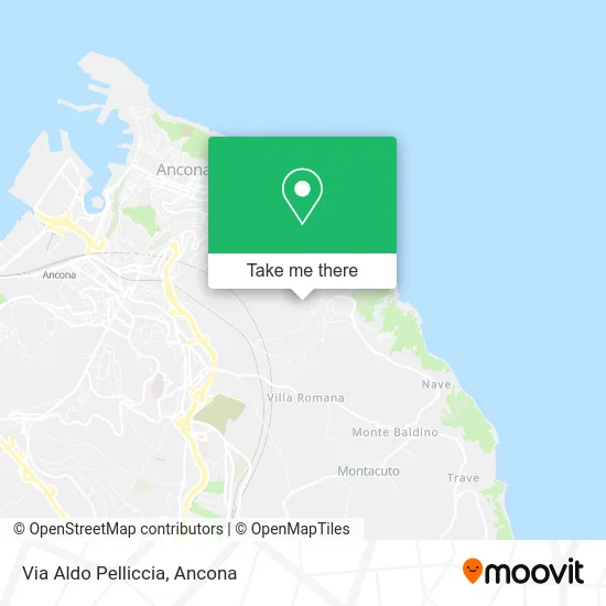 Aldo Pelliccia Street map