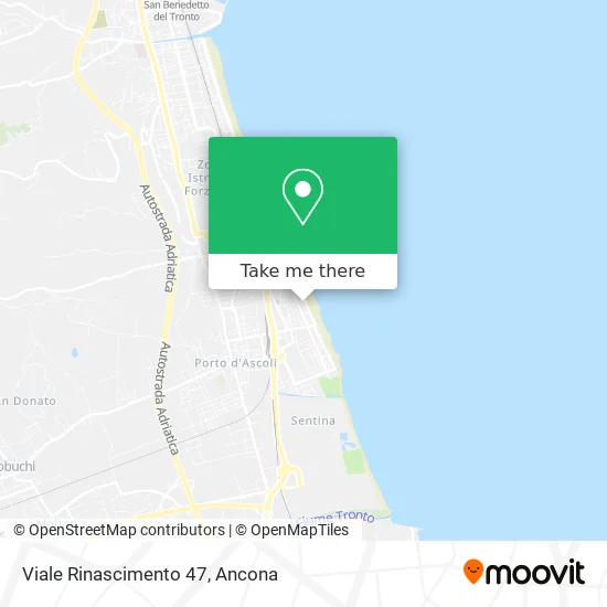 Viale Rinascimento 47 map