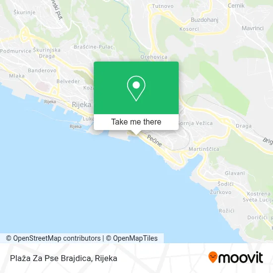 Plaža Za Pse Brajdica map