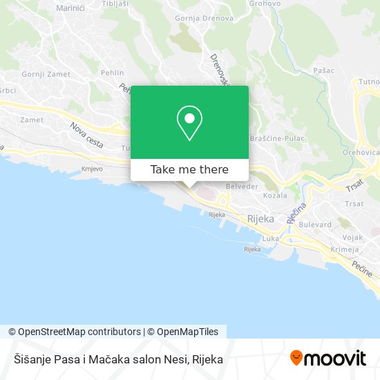 Šišanje Pasa i Mačaka salon Nesi map