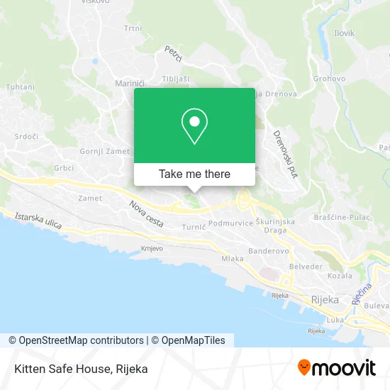 Kitten Safe House map