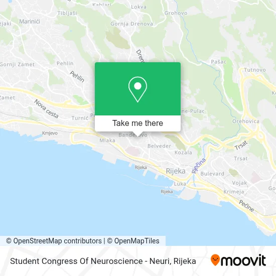 Student Congress Of Neuroscience - Neuri map