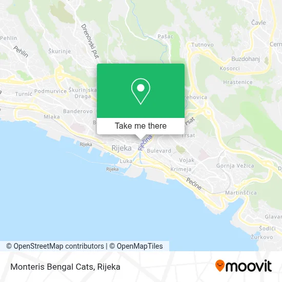 Monteris Bengal Cats map