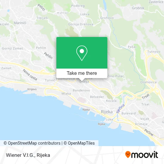 Wiener V.I.G. map