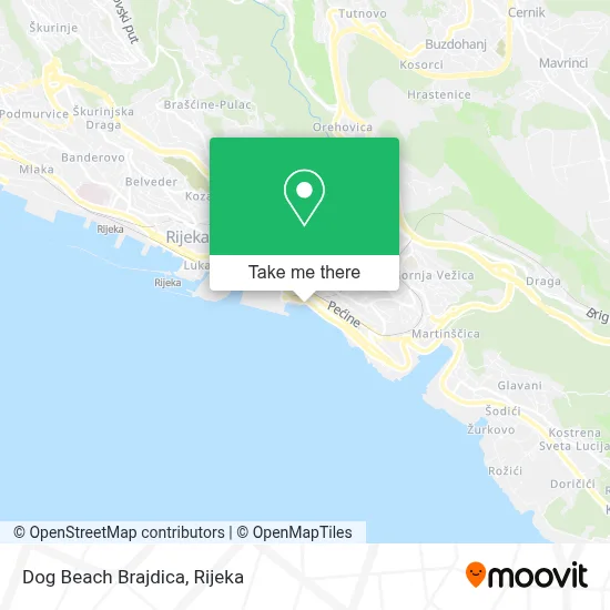 Dog Beach Brajdica map