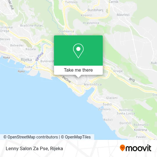 Lenny Salon Za Pse map