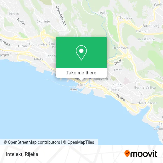 Intelekt map