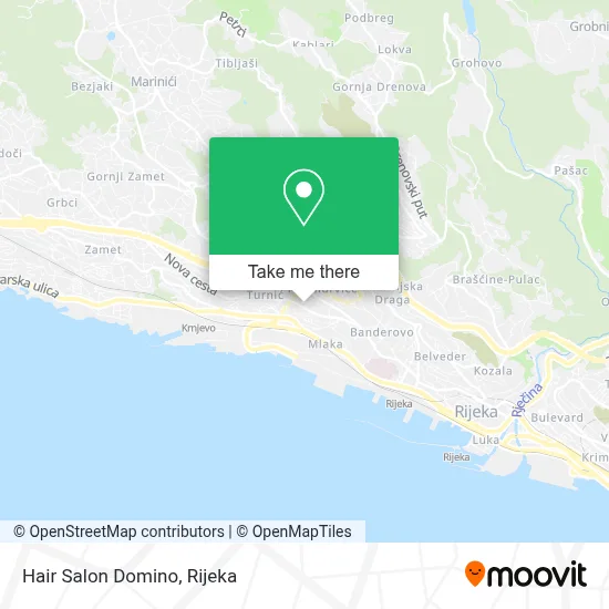 Hair Salon Domino map