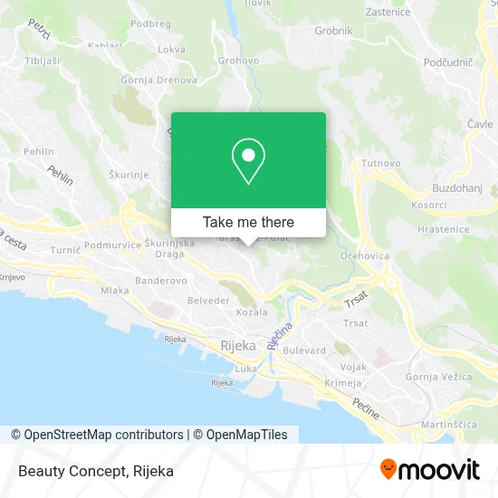 Beauty Concept map