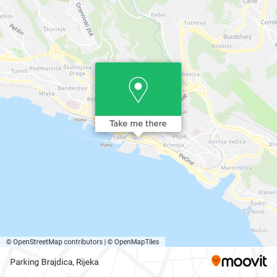 Parking Brajdica map