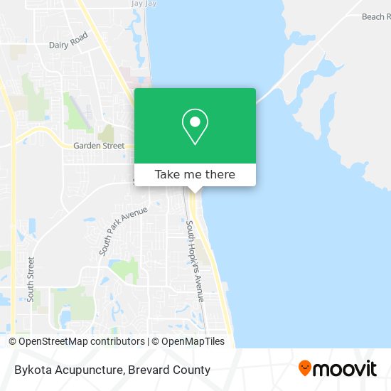 Bykota Acupuncture map