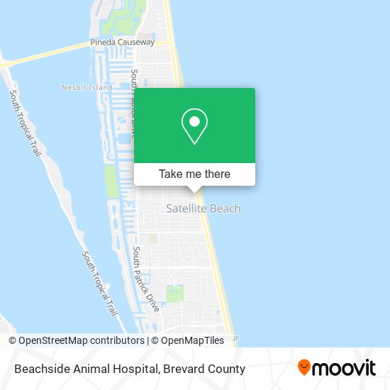 Beachside Animal Hospital map