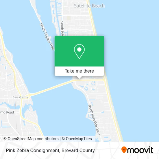 Pink Zebra Consignment map