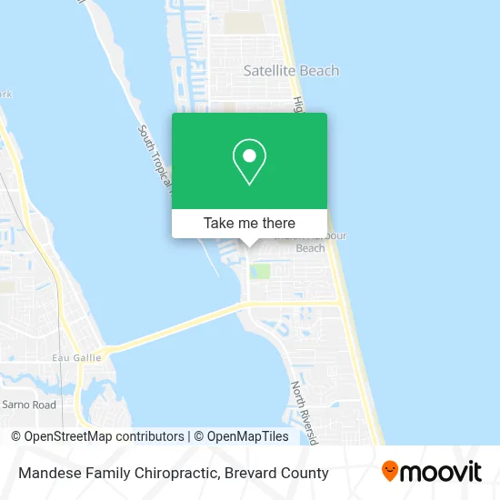 Mandese Family Chiropractic map