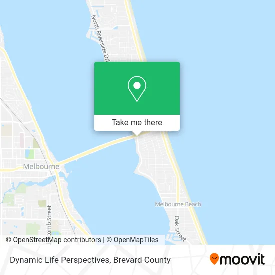 Dynamic Life Perspectives map