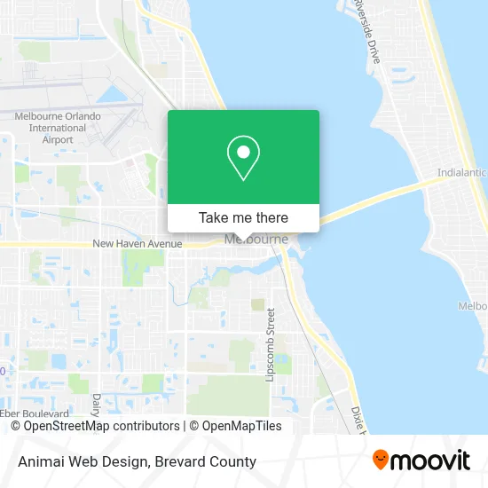 Animai Web Design map