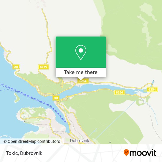 Tokic map