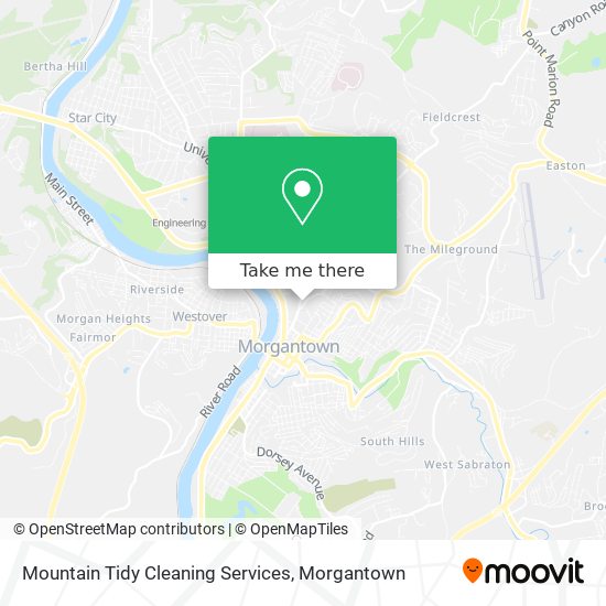 Mountain Tidy Cleaning Services map