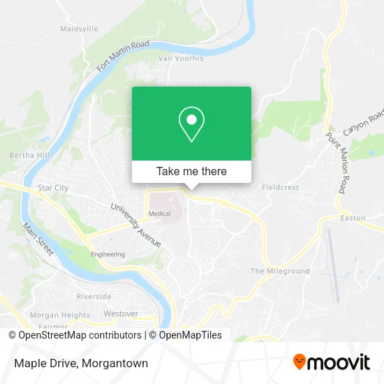 Mapa de Maple Drive