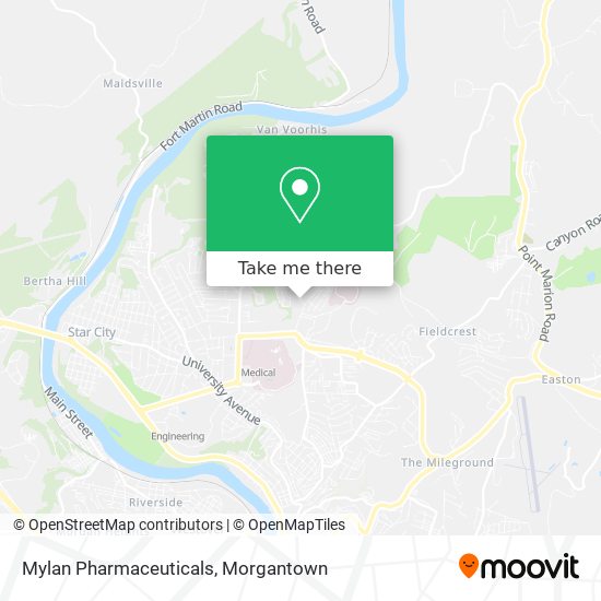 Mylan Pharmaceuticals map