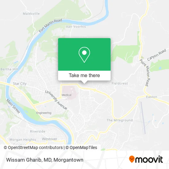 Mapa de Wissam Gharib, MD