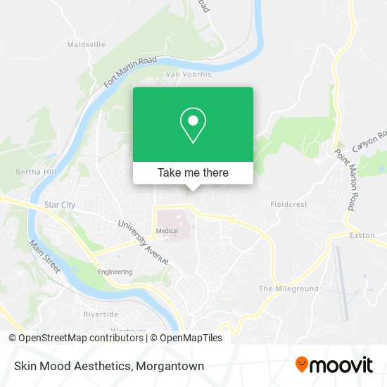 Skin Mood Aesthetics map
