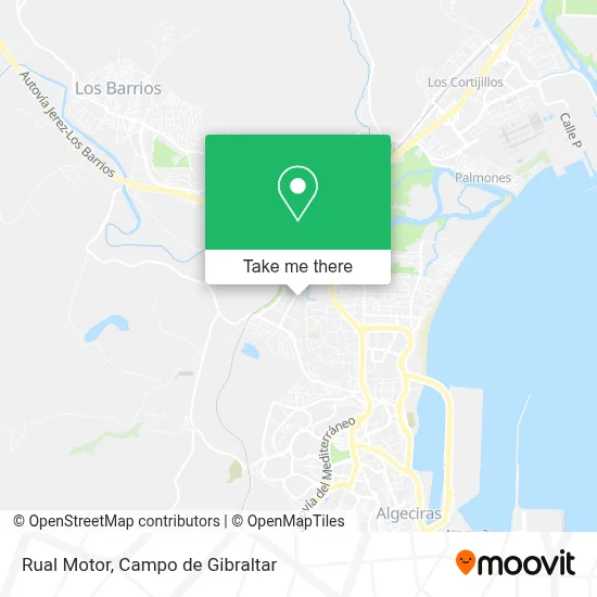 Rual Motor map