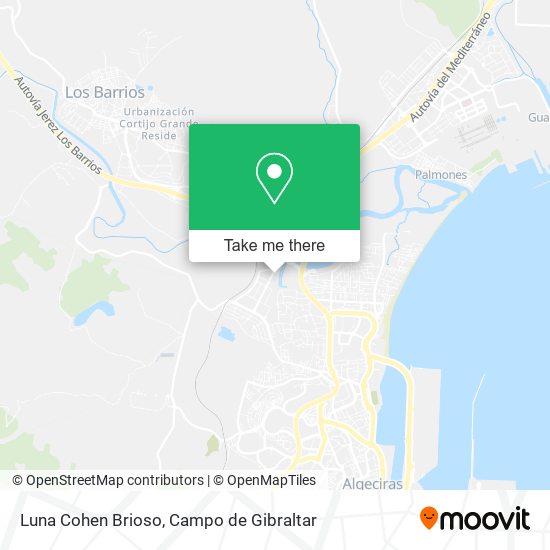 Luna Cohen Brioso map