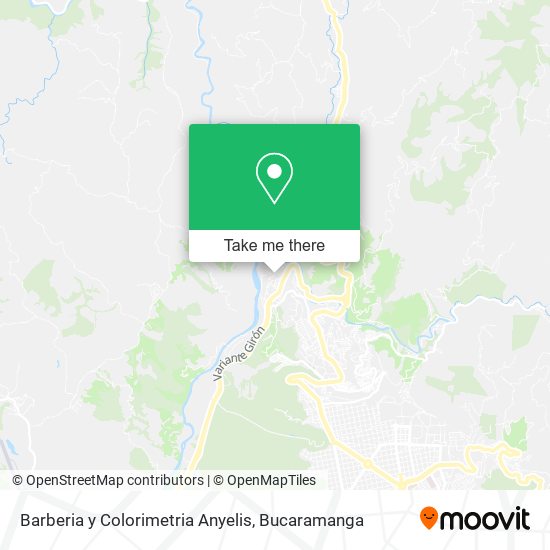 Barberia y Colorimetria Anyelis map