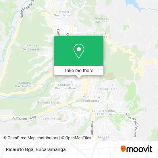 Ricaurte Bga map