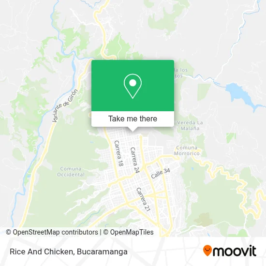 Rice And Chicken map
