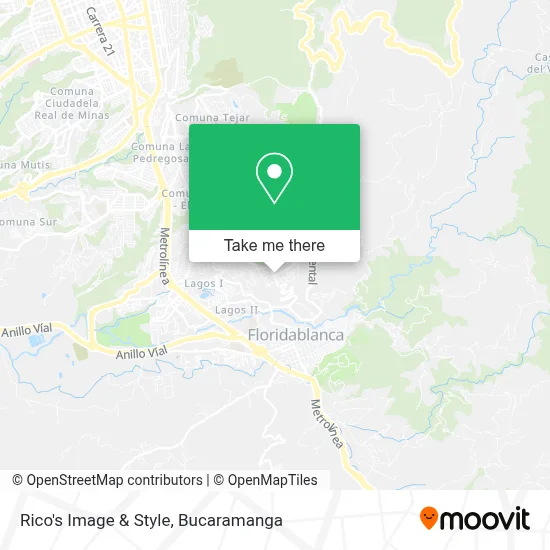 Rico's Image & Style map
