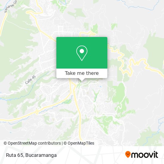 Mapa de Ruta 65