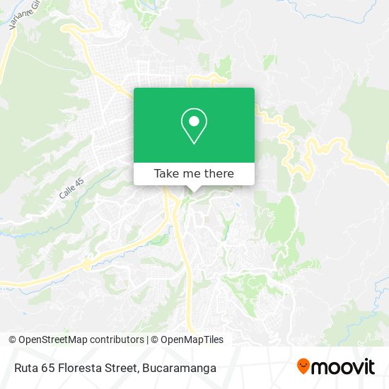 Ruta 65 Floresta Street map