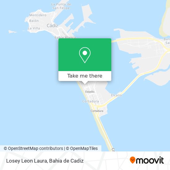 Losey Leon Laura map